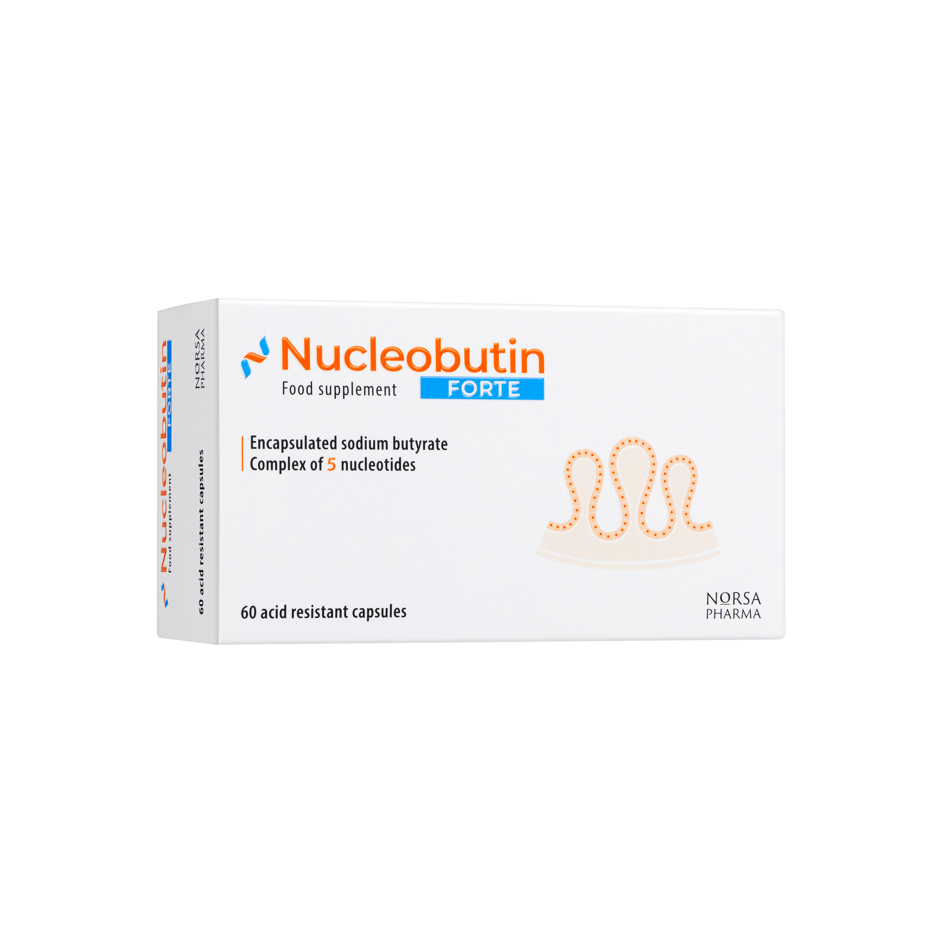 Nucleobutin FORTE | Enteric-Coated Sodium Butyrate with Dietary Nucleotides | Advanced Nutrition Formula | 60 Capsules