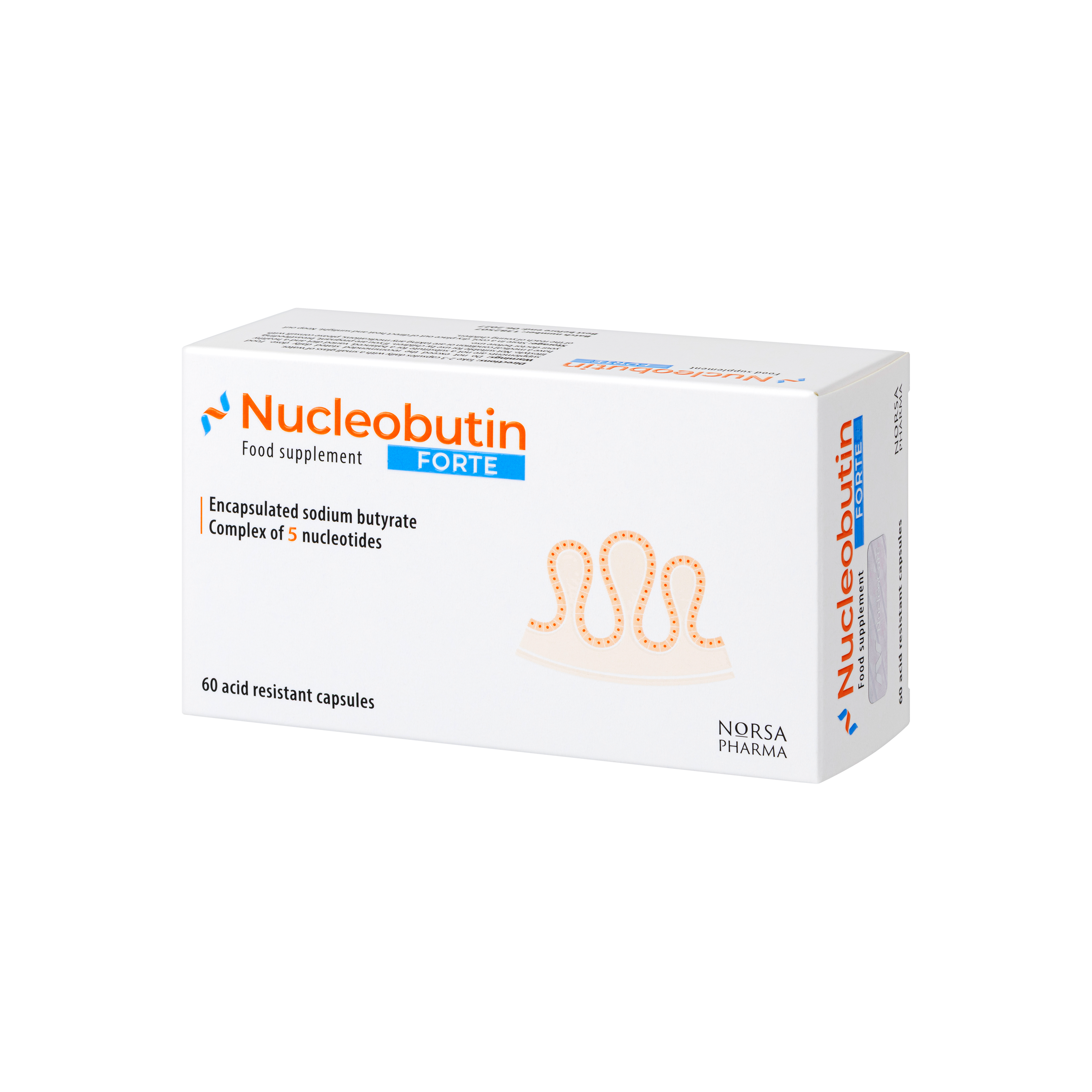 Nucleobutin FORTE | Enteric-Coated Sodium Butyrate with Dietary Nucleotides | Advanced Nutrition Formula | 60 Capsules